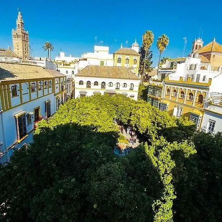 Apartment Plaza Elvira Atico- Penthouse Next To Cathedral Seville