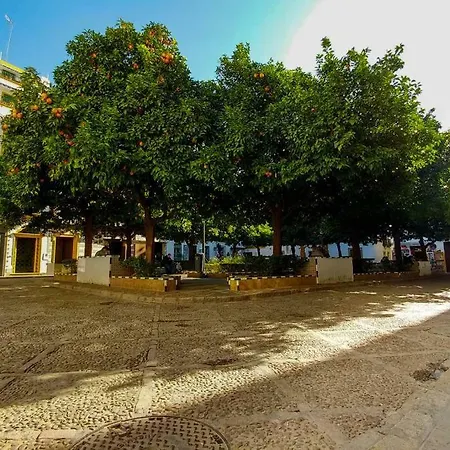 Plaza Elvira Atico- Penthouse Next To Cathedral Seville