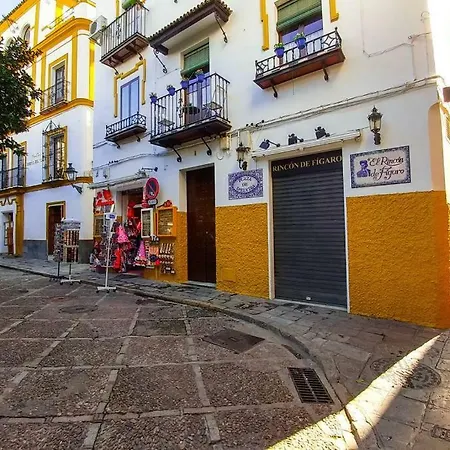 Plaza Elvira Atico- Penthouse Next To Cathedral Apartment *